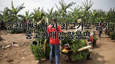 김천에서 내 차 최고가로 팔기 🚗💨 #중고차매입 #감문면